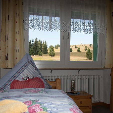 Berggasthof-Pension Todtnauer Huette Feldberg (Baden-Wurttemberg) Bagian luar foto