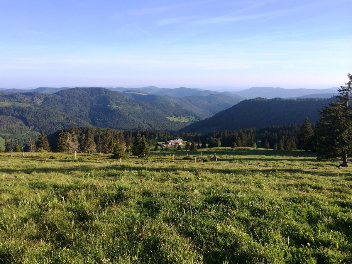 Berggasthof-Pension Todtnauer Huette Feldberg (Baden-Wurttemberg) Bagian luar foto