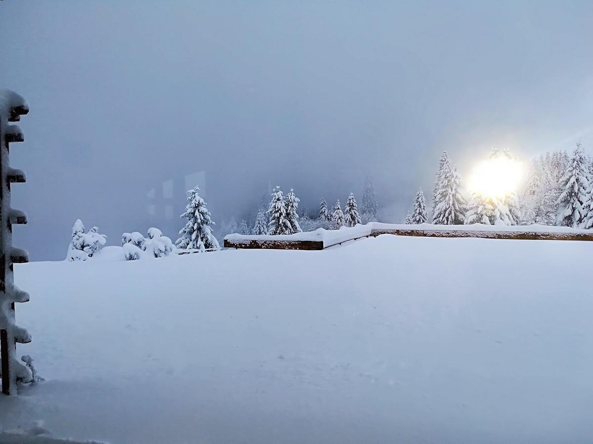 Berggasthof-Pension Todtnauer Huette Feldberg (Baden-Wurttemberg) Bagian luar foto