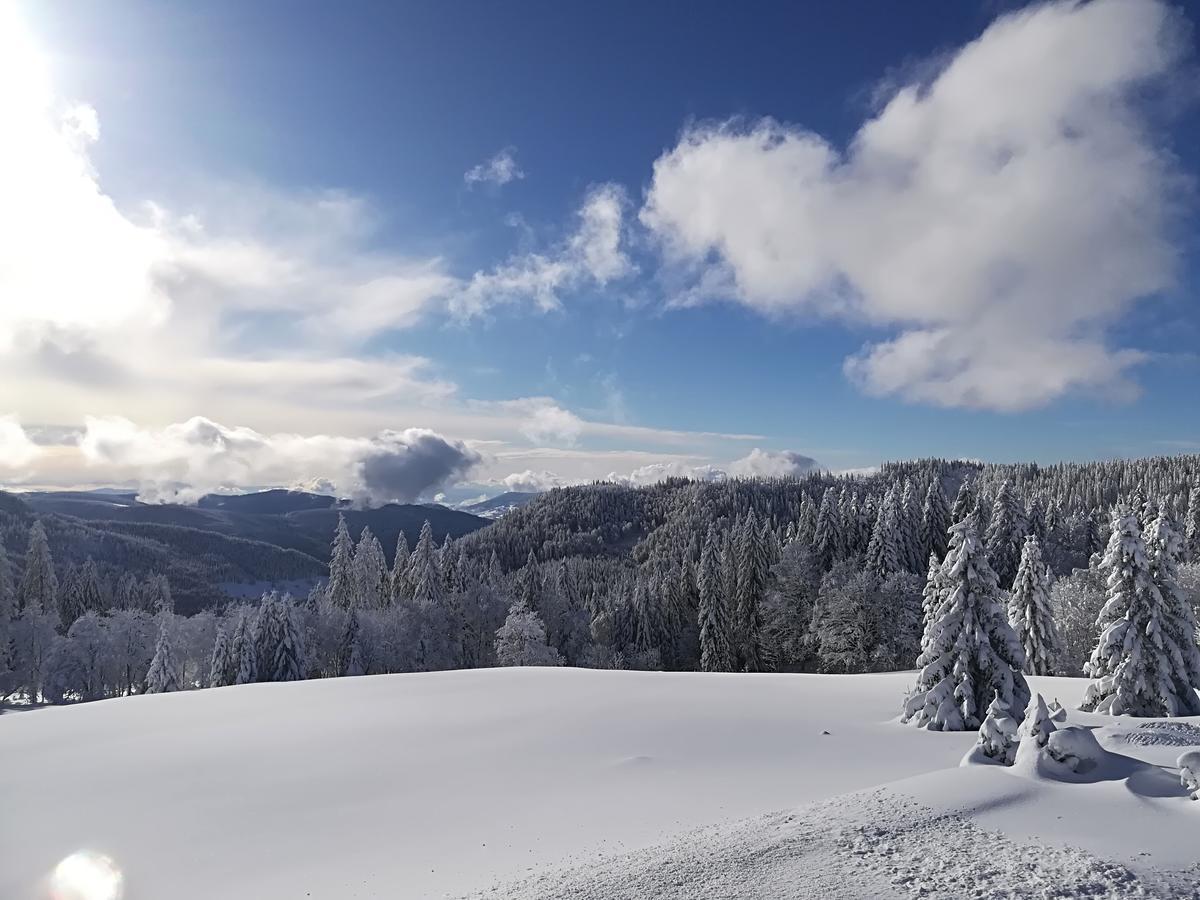 Berggasthof-Pension Todtnauer Huette Feldberg (Baden-Wurttemberg) Bagian luar foto